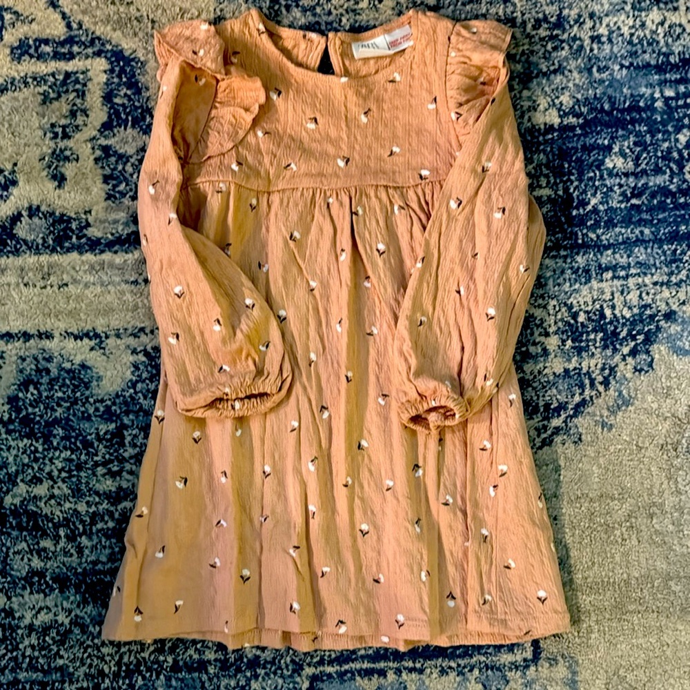 Zara girls long sleeve dress.